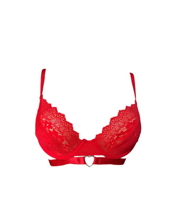Set Tauro - Image 2