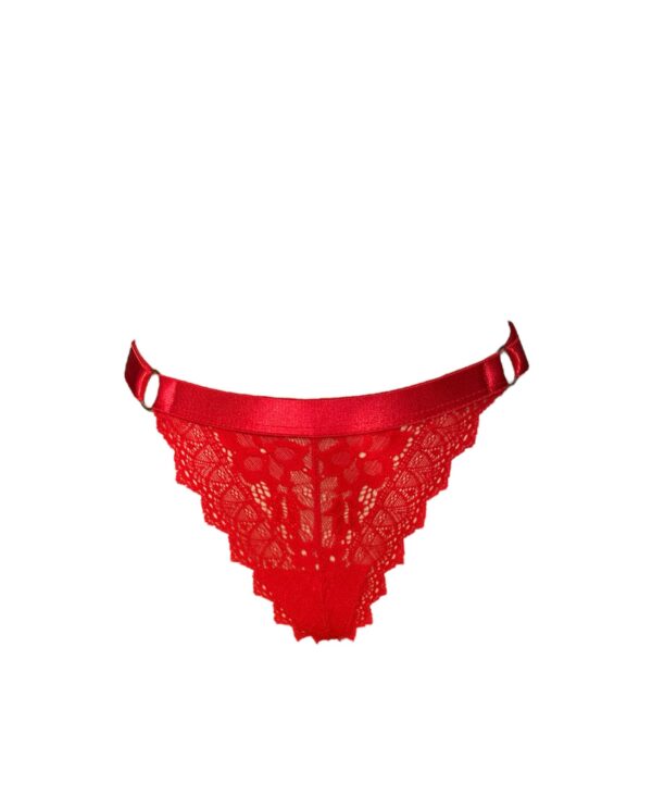 Set Tauro - Image 5