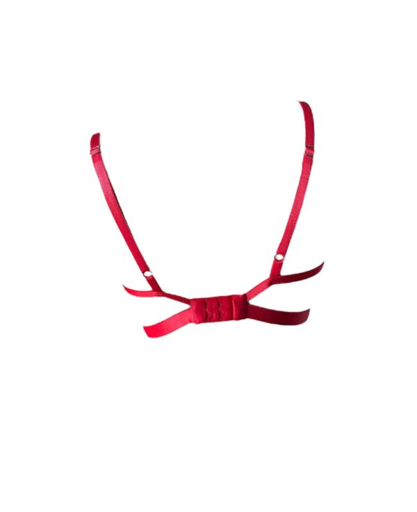Set Tauro - Image 3