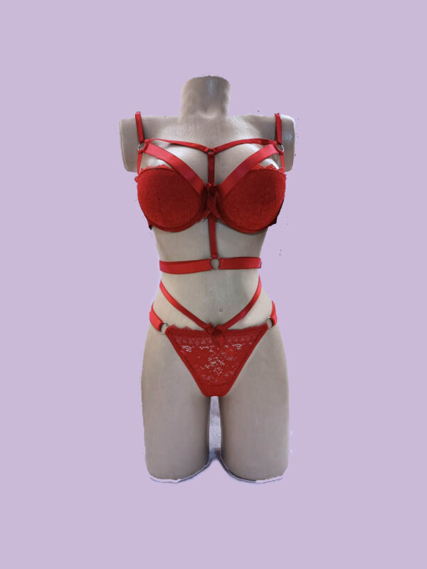Conjunto Hortensia - Image 3
