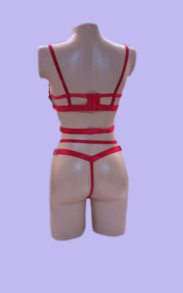 Conjunto Hortensia - Image 4